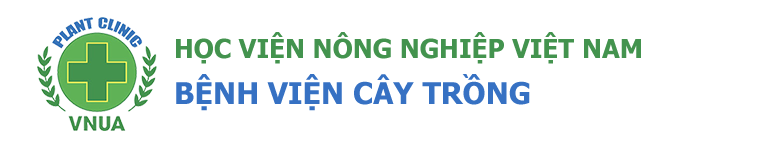 Bệnh viện cây trồng